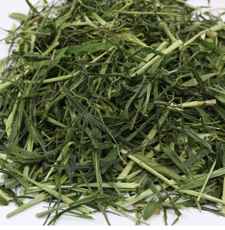2017优质大麦草段 500g 兔子豚鼠龙猫牧草富含粗纤维 3件包邮_双氙