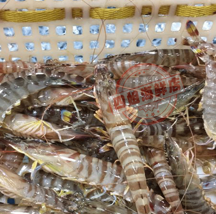 北京闪送鲜活海鲜海南基围虾味美肉饱满鲜活竹节虾海白虾明虾_7折现价