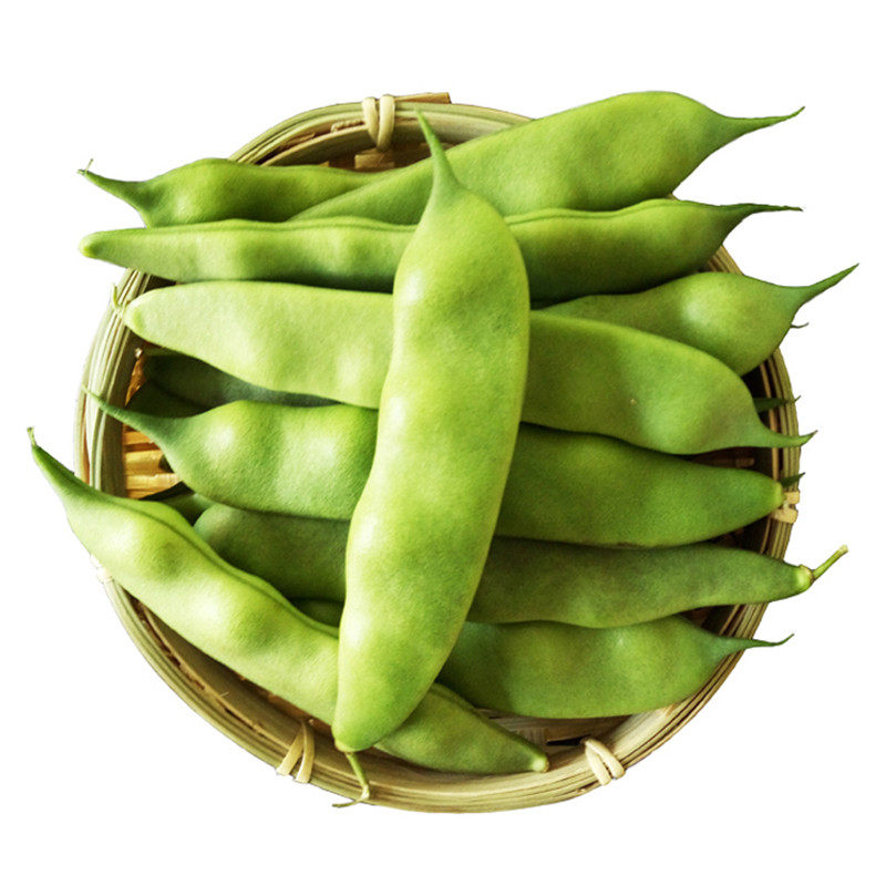 2022年东北绿油豆角小油豆角黄金勾豆角弯勾黄豆角勾勾黄豆角包邮