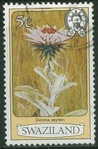 General Stamps of Swaziland 1980 Flower 5c Coarse Teeth Letter Pin