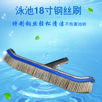 Aquionics Swimming Pool Wire brush Aluminum back Pool Brush 10 inch 18 inch wire brush Moss brush Cleaning brush