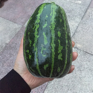 农家花皮烧瓜 梢瓜 花皮菜瓜 水瓜清爽脆嫩新鲜水果非甜瓜5斤装