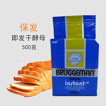 Shanfa instant dry yeast 500g buns bread starter starter medium West Point baking additive domestic blue bag