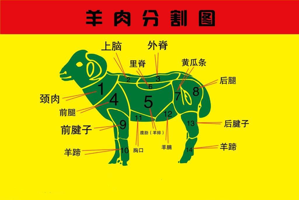 看羊肉部位2肥瘦均匀绵羊肉低脂肪山羊肉【挑选建议】对于羊肉的选择