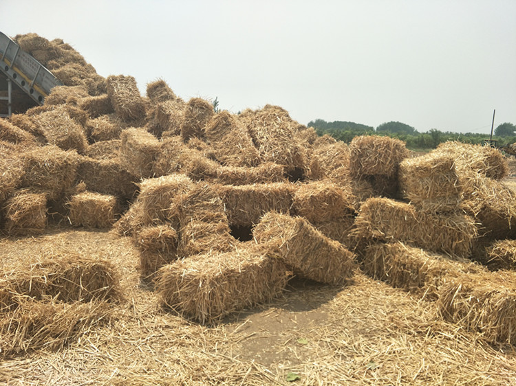 草垛干稻草装饰 婚礼道具 方形草垛 圆柱草垛子草垫 稻草凳子定做_双