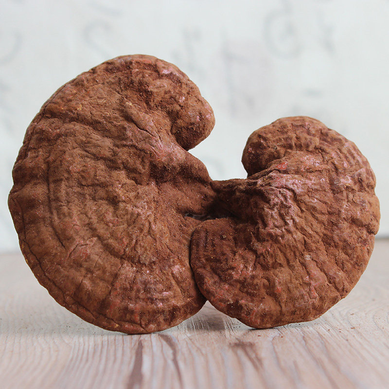 安徽霍山整株赤灵芝灵芝 仿野生林芝片75元/斤 自产自销_3折现价75.