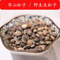 Wild Huashan small pine nut devil king snow squirrel food staple food snack parrot food bird food pet staple food