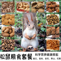 Squirrel grain main food raw nuts pine nuts package flying squirrel golden flower devil red belly cub eat main food snacks