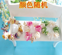 Full 28 yuan natural conch shell flower snail bracelet color shell bracelet