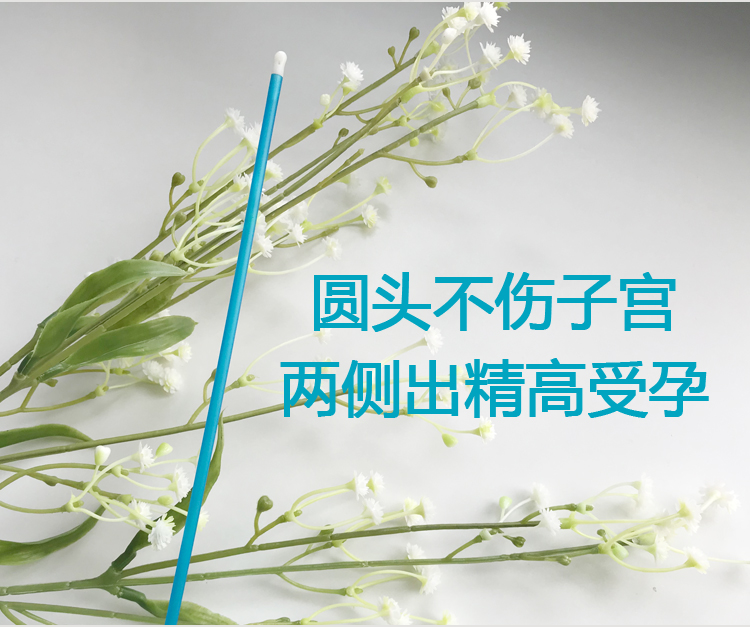 犬输精管 狗输精针 圆头人工授精受精器械 输精管厘米单根包装