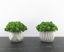 Matching display simulation multi-meat green plant suit ceramic floral-like room for home building materials commercial space