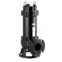 Cutting sewage pump 380V septic tank biogas tank sewage pump 220V with reamer pumping silt pump