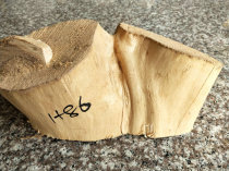 Taihang cliff cypress cedar wood corner small material New hands-on material DIY Buddha beads material Unique shape of the material