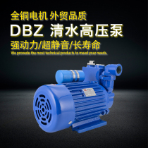 25DBZ-18 household single-phase self-priming water high-pressure pump 370w irrigation pumps cast iron pump 550w fresh water pump