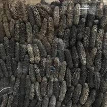 Price of pure light dry Liaos sea cucumber with 50-60 head specifications half a catty