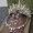 Silver Crown+Earrings+Necklace Gifted Headdress Gift Box