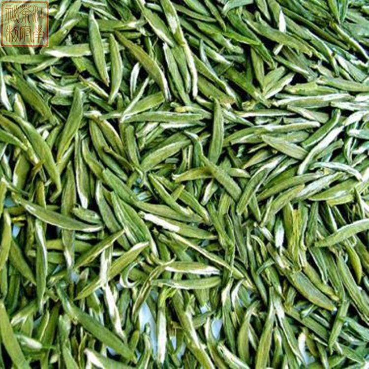 2016明前新茶溧阳翠柏茶叶 江苏常州春茶 牙尖茶嫩芽银针绿茶 50g