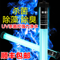 Yulong double tube fish pond bactericidal lamp Aquarium UV submersible UV sterilization fish tank Fish pond Koi algae removal