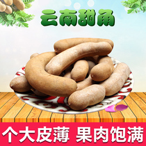 Sweet horn small corner sweet box bulk 20 kg Yunnan specialty sour carob Tamarind capers wild sweet horn