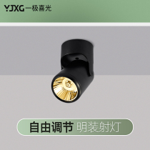 Ming suit spotlight led Universal clothing shop exhibition hall COBlogo background wall photo lamp ceiling type spotlight