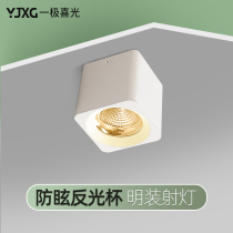 LED Downlight square spotlight COB square type bile dart lamp living room aisle ceiling type black box bookshelf light