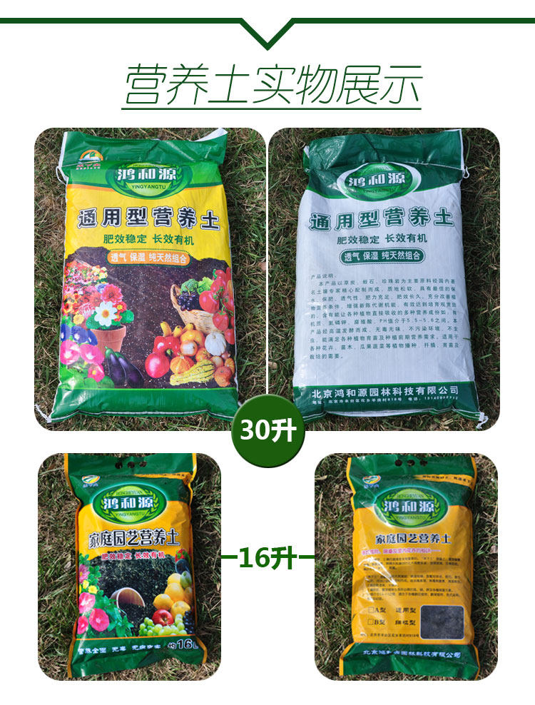 绿箩多肉专用营养土有机泥土种花种菜泥炭土壤花土种植土大包包邮