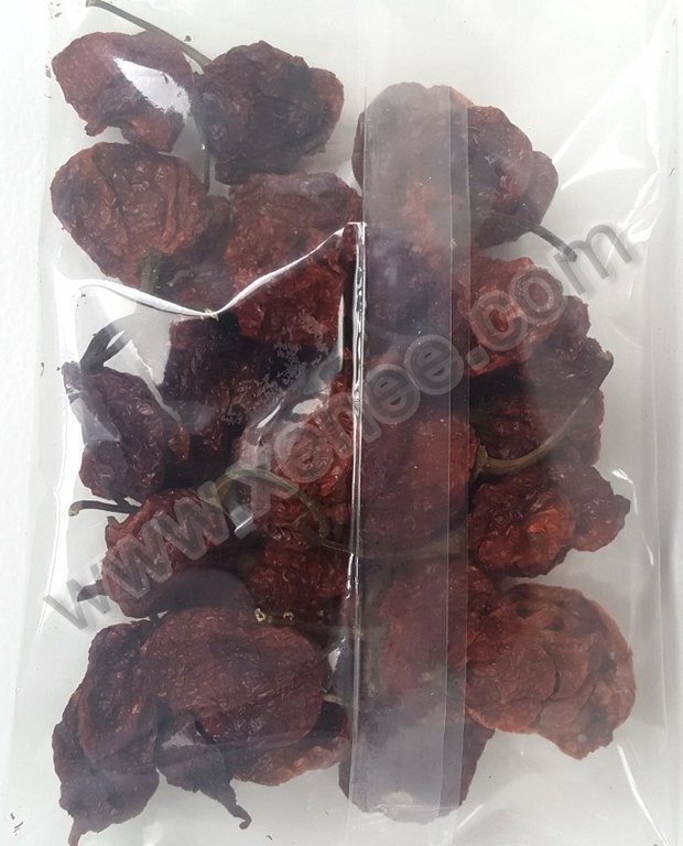 chilli wizards insane carolina reaper pods卡罗莱纳 死神辣椒