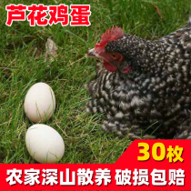 Reed eggs native eggs Xiangxi deep mountains farmers free-range natural stupid eggs packed fresh and authentic 30 pieces