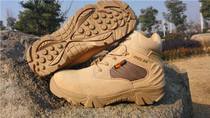 DELTA BOOTS SPRING AND AUTUMN Breathable Style Tactical Boots 511 Desert Boots Mountain Boots Tactical Boots Combat Boots Mountaineering Boots