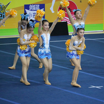 Custom cheerleading competition clothing cheerleading clothing cheerleading competition clothing aerobics clothing new 19 adult women