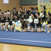 Custom cheerleading competition clothing cheerleading clothing competitive aerobics clothing gymnastics clothing new 19 students female male