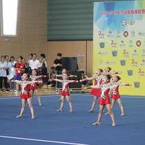 Custom cheerleading clothing cheerleading clothing aerobics clothing cheerleading clothing new 19 performance clothing female male