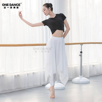 Modern Dance Plays in Classic Dance Pants Double Layer Snowspun Skirt Pants Flutter Black And White Dress National Square Dance