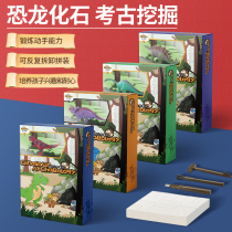 Dinosaur fossil Tyrannosaurus Rex skeleton model children handmade diy Gem boy archaeological excavation toy