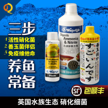 British original waterlife fish tank nitrifying bacteria aquarium water purifiers longfish open tank live bacteria vitamins