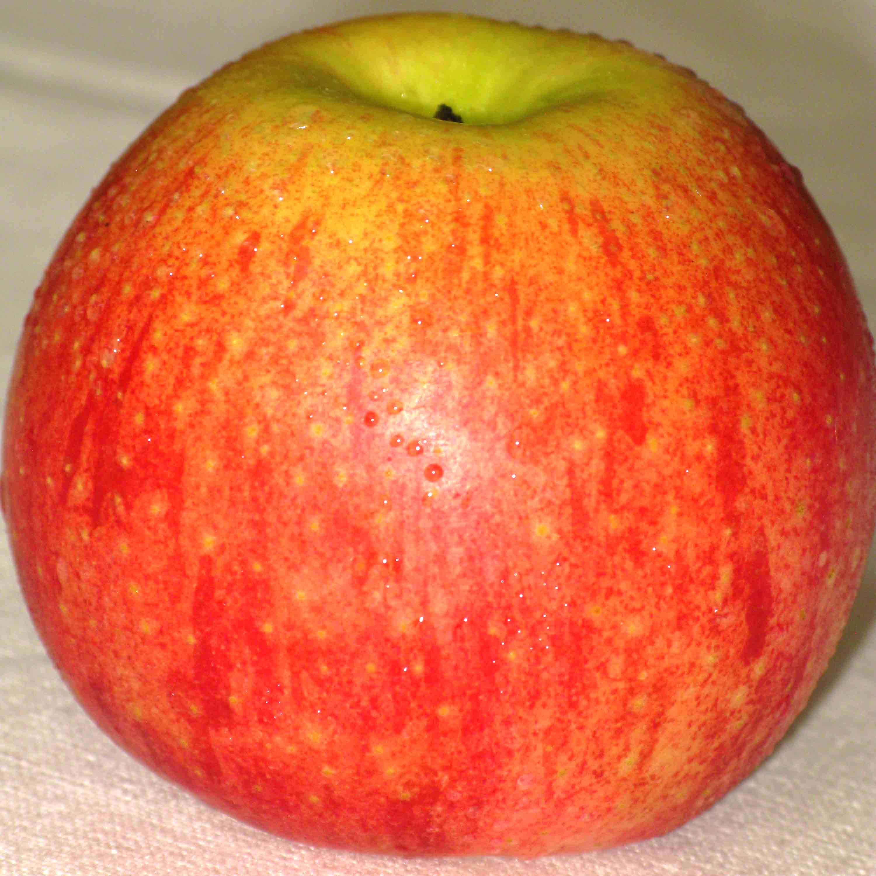 乔纳金苹果新鲜山东烟台苹果酥软糯沙面老人宝宝孕妇吃5斤包邮