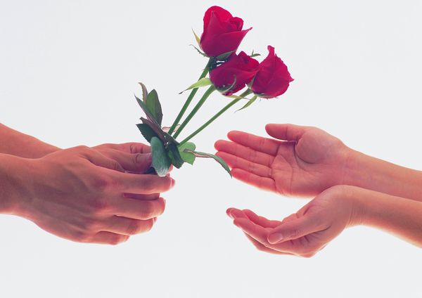 双鱼座的女生,只钟爱玫瑰花吗?