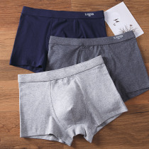 Pure Cotton Mens Underwear Slim Fit Large Code Breathable Mid-Waist Four-corner Shorts Youth Bacteriostatic Internal-Smooth Corner Pants