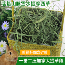 2021 Canadian Rockies Snow Water Timothy Grass Rabbit Guinea Pig Chinchilla Forage Pet Hay 500g