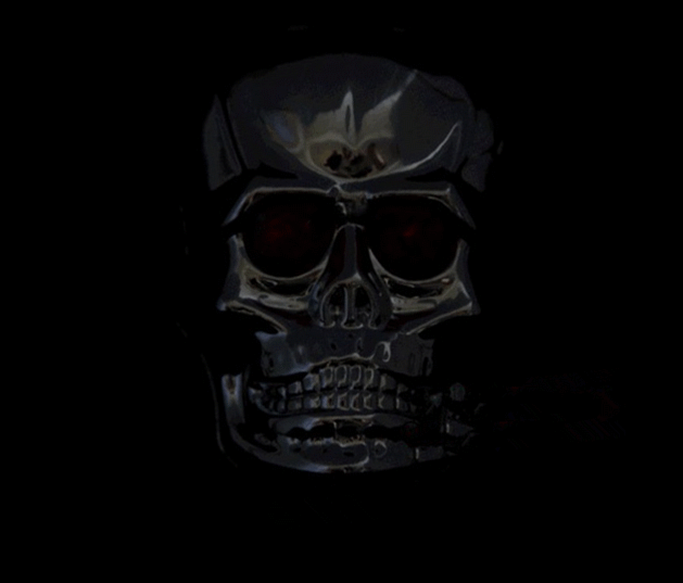 特价 自行车骷髅鬼头激光尾灯 自行车平行