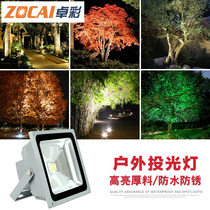 LED outdoor lighting Outdoor door head signboard billboard spot light 100w50w150w waterproof flood light super bright