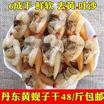 Yellow clam dry open bag ready-to-eat Dandong specialty clam meat to visceral clams 500g seafood snacks 1kg