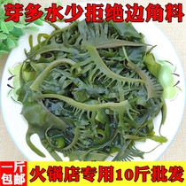 Premium wakame hot pot sea sprouts sea cabbage salted non-dry goods 500g seaweed sea sprouts 1kg