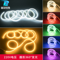 led light with living room ceiling decorative light three-color dimming outdoor waterproof hose neon home 220V super bright
