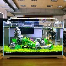 Sensen Small Gold Fish Tank Small Aquarium Ultra White Glass Living Room Ecological water straw cylinder Tortoise Vat Construction Grass cylinder