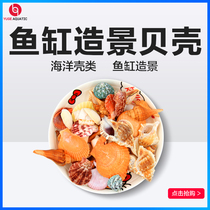 Aquariums bio-male fish tank Aquarium Decorative cloth View Ornament Small Pieces Natural Marine Snail Shells