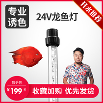 Aquariums Bio Male Parrot Fish Special Lamp Color Enhancement Fish Tank Led Waterproof Hair Color Trap