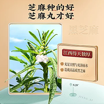 【老金磨方】黑芝麻丸126g*4罐[106元优惠券]-寻折猪