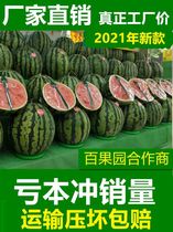 Fruit holder puts watermelon ring artifact watermelon non-slip mat plastic ring display base throwing ring
