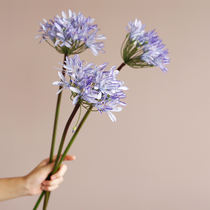 ladylike Baizi Lotus fake flower decoration flower decoration living room table ornaments TV cabinet